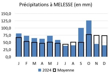 graphique précipitations Melesse en 2024