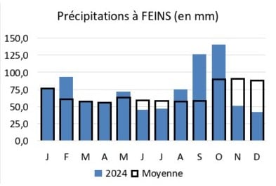 graphique précipitations Feins en 2024